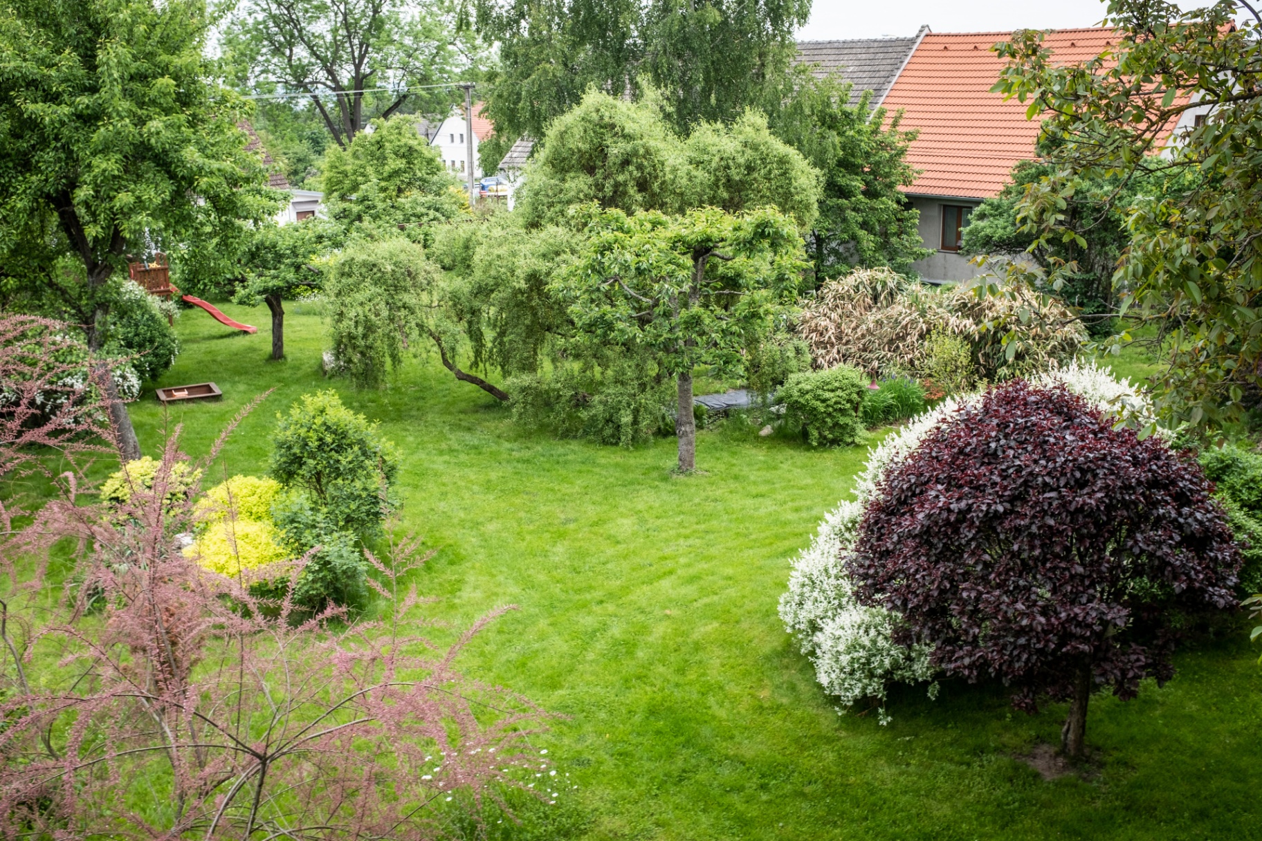 Zahrada s ovocnými stromy a keři