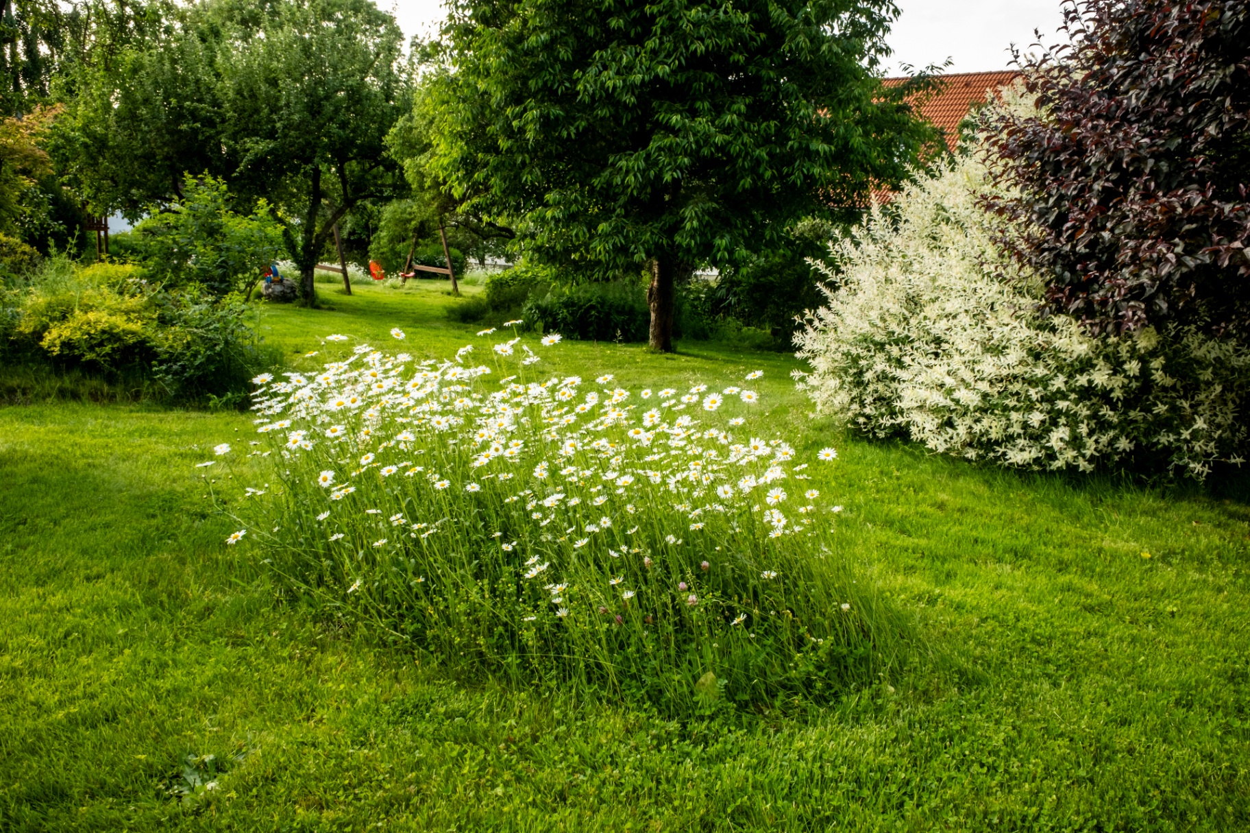Rozkvetlá zahrada během Cyklofestu